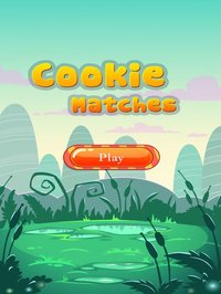 Landscape Cookie Matches screenshot, image №1797057 - RAWG