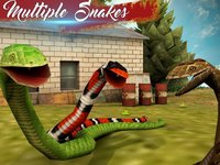 Anaconda Snake Survival Attack screenshot, image №1615090 - RAWG