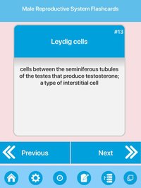 Male Reproductive System screenshot, image №1613350 - RAWG