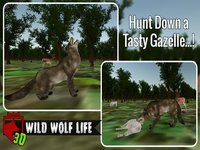 Wild Wolf Life 3D screenshot, image №1954867 - RAWG