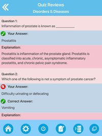 Male Reproductive System screenshot, image №1613348 - RAWG