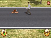Bulldog on Skateboard 3D screenshot, image №1695203 - RAWG