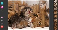 Cat's Life Jigsaw Puzzles screenshot, image №2759129 - RAWG