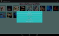 Underwater Puzzle Free screenshot, image №1459916 - RAWG