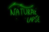 NaturalLapse screenshot, image №2843176 - RAWG