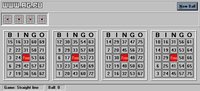 Expert Bingo screenshot, image №335882 - RAWG