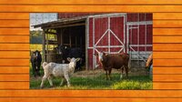 Farmyard Pals Jigsaw Puzzles screenshot, image №4152674 - RAWG
