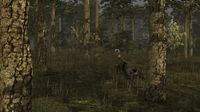 Wild Turkey Hunter screenshot, image №719350 - RAWG