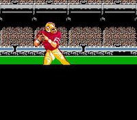 Tecmo Super Bowl screenshot, image №738180 - RAWG