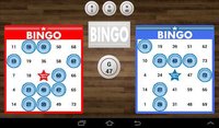 Basic Bingo screenshot, image №1369968 - RAWG