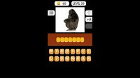Photo Quiz - Animals screenshot, image №3956823 - RAWG