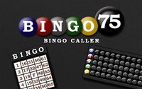 Bingo 75 screenshot, image №2086513 - RAWG