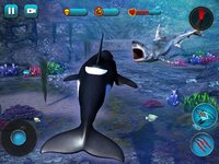 Killer Whale Beach Attack 3D screenshot, image №895429 - RAWG