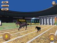 Greyhound Racing Tournament 2 screenshot, image №972078 - RAWG