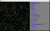LifeZoom screenshot, image №1142778 - RAWG