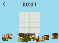 Ultimate Puzzles: Animals 2 screenshot, image №2695884 - RAWG