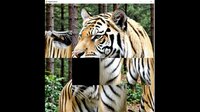 hgmGame-tiger screenshot, image №4224060 - RAWG