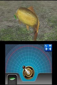 Reel Fishing Paradise 3D screenshot, image №794958 - RAWG