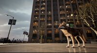 WOLF IN THE CITY screenshot, image №3990444 - RAWG