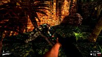 Jungle Rage (Single-Player FPS Campaign) screenshot, image №2533422 - RAWG