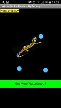 Leopard Gecko Simulator screenshot, image №1288539 - RAWG