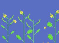 Evolving Plants - Mustard screenshot, image №3299594 - RAWG