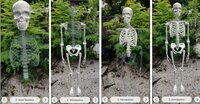 The Skeletal System screenshot, image №3618937 - RAWG