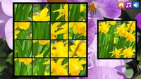 OG Puzzlers: Spring 2K24 screenshot, image №4040243 - RAWG