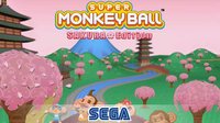 Super Monkey Ball: Sakura Edition screenshot, image №1425834 - RAWG