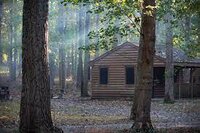 Cabin In The Woods Blockout Assignment screenshot, image №3646093 - RAWG