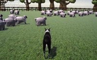 Sheepdog simulator screenshot, image №2307276 - RAWG