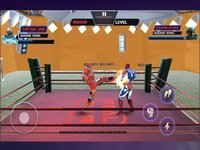 Robot Hero Ring Fighting screenshot, image №2187818 - RAWG