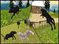 Wild Black Panther Attack Simulator 3D – Hunt the Zebra, Deer & Other Animal in Wildlife Safari screenshot, image №2097605 - RAWG