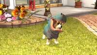 Playstation Vita Pets screenshot, image №2022560 - RAWG