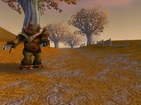 World of Warcraft screenshot, image №351801 - RAWG