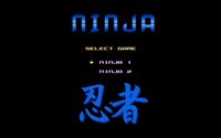 Ninja I & II screenshot, image №4088874 - RAWG