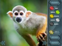 HexLogic - Zoo screenshot, image №1336165 - RAWG