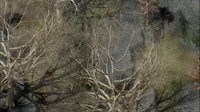 Crelabeth: Unholy Lands screenshot, image №2306853 - RAWG