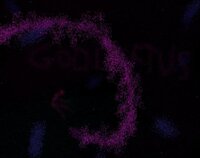 GODLEFTUS screenshot, image №3538008 - RAWG