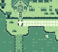 Team Super Panda screenshot, image №2326065 - RAWG