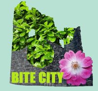 Bite City screenshot, image №3028393 - RAWG