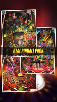 Age of Pinballs screenshot, image №16590 - RAWG