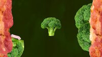 SALTED screenshot, image №4196643 - RAWG