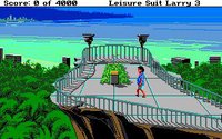 Leisure Suit Larry III: Passionate Patti in Pursuit of the Pulsating Pectorals screenshot, image №744751 - RAWG