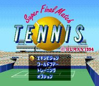 Final Match Tennis screenshot, image №765115 - RAWG
