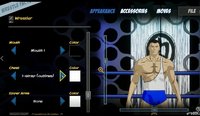 CHIKARA: Action Arcade Wrestling screenshot, image №2130543 - RAWG