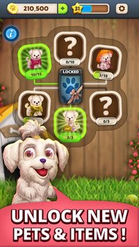 Solitaire Pets - Online Arena - Free Card Game screenshot, image №1476200 - RAWG