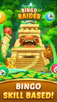 Bingo Raider screenshot, image №3610605 - RAWG