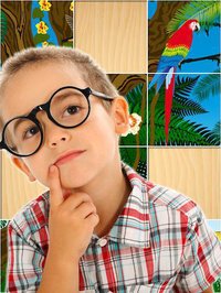 Jigsaw Puzzles: Animals, Dinosaurs & Cars screenshot, image №1549108 - RAWG