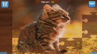 Bepuzzled Kittens Jigsaw Puzzle screenshot, image №1946385 - RAWG